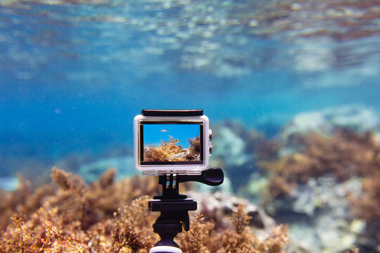Using action-camera in waterproof box to make photos and video underwater