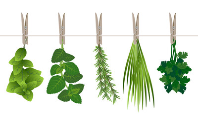 Illustration pour un poster ou une crédence dans la cuisine d’herbes aromatiques suspendu à un fil avec une pince à linge - basilic, romarin, menthe, persil, ciboulette. © ID-EasyDoor