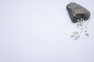 Dry white flower and stone on a light blue pastel background. Trendy, minimal concept with copyspace, Aesthetic, minimalism