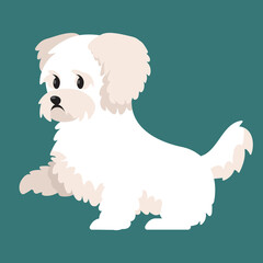 Bichon bolognese giving paw. Cute pet in cartoon style.