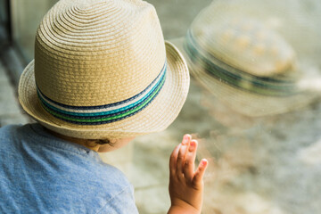 little boy watching turtle through the window with straw hat
