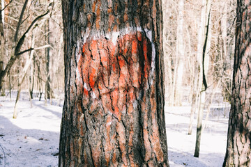 A heart on a tree. Graffiti. Drawing on a tree. Red heart.