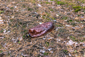 Damaged plastic bottle on the ground in a pine forest. The concept of environmental pollution.