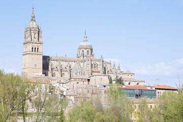 Fototapeta na wymiar Beautiful landscape with famous Salamanca cathedral in Spain