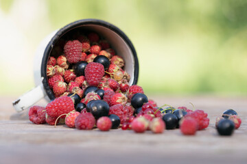 Mixed berries, strawberries, red currants, raspberries and black currants on wood table on natural background.