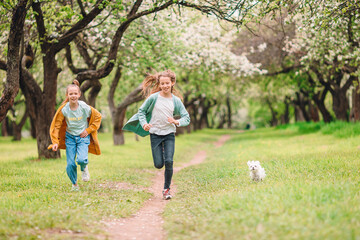 Obraz premium Little smiling girls playing with puppy in the park