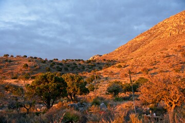 Early morning in Guadalupe Mountains National Park in Texas USA
