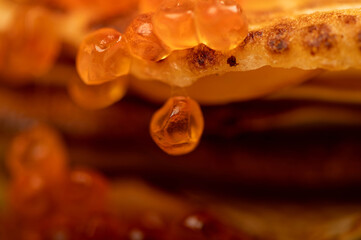 Traditional Russian pancakes with red salmon caviar. Shrovetide week of the meeting of spring.