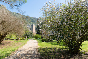 Fototapeta na wymiar Giardini di Ninfa
