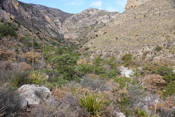 Guadalupe Mountains National Park in Texas USA