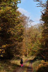 Spaziergänger auf einem Wanderweg durch den Herbstwald