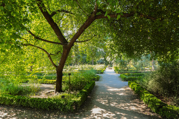 Botanic garden, Madrid
