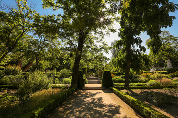 Botanic garden, Madrid