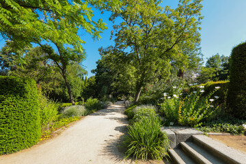 Botanic garden, Madrid