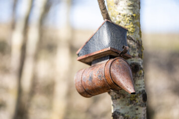 The old beekeeper smoker is on the beehive on the apiary. It streams safe smoke from burning eco-friendly wooden chips to scare away bees. For cleaning hives from objects and insects harmful to bees.