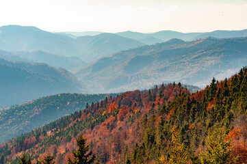 Mountain wilderness landscape, panorama forest-covered mountain range hills, nature Carpathians Ukraine, warm autumn day October.