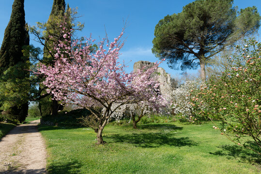 Giardini di Ninfa