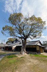 鴻池新田会所　本屋　大阪府東大阪市