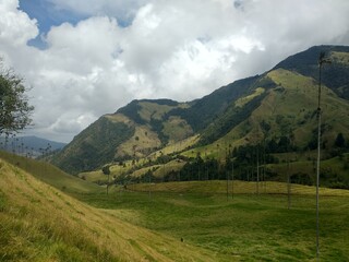 Colombia
Eje Cafetero
Valle del Cocora
Palmas de Cera