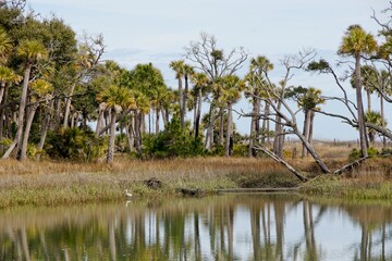 Hunting Island State Park in South Carolina USA
