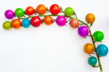 Multi color Cherry tomatoes on a branch isolated on a white background