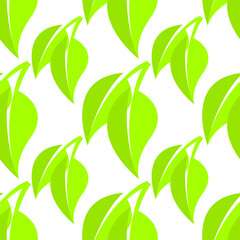 Green leaves of a tree on a white background, texture for design, seamless pattern, vector illustration