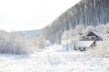 A frozen river in a wintry landscape. Winter landscape with forest, cloudy sky and sun.