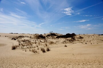 Jockey's Ridge State Park on Outer Banks in North Carolina USA