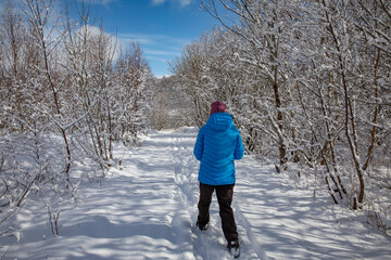 Spring and new snow, and woman on tour,Brønnøy,Helgeland,Nordland county,Norway,scandinavia,Europe