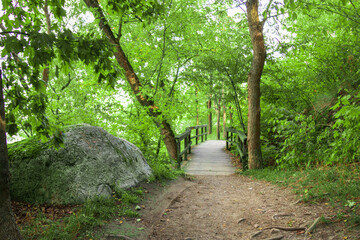 Fototapeta na wymiar path in the woods in a park