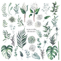 Watercolor set of floral elements of flowers and leaves on a white background.