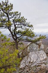 Fototapeta na wymiar Rocks in Shenandoah National Park in Virginia USA