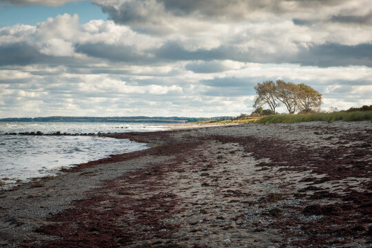 Herbst an der Hohwachter Bucht bei Behrensdorf