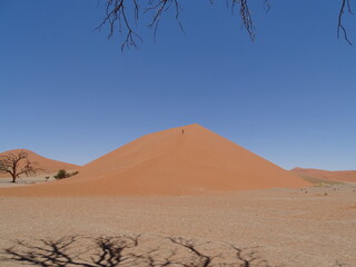 Fototapeta na wymiar dune 45 in sossusvlei