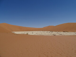 dead vlei in sossusvlei in namib desert