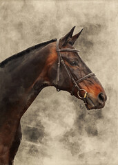 Obraz premium Watercolor illustration of a bay horse. Portrait of beautiful race horse