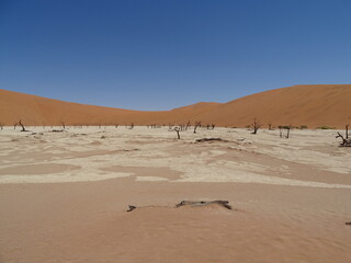 Fototapeta na wymiar dead vlei in sossusvlei in namib desert with nobody