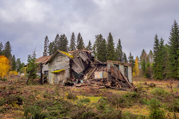 Destroyed private house. Abandoned building. Remains of a collapsed building. Autumn landscape with a collapsed wooden house. Plot with an old house.