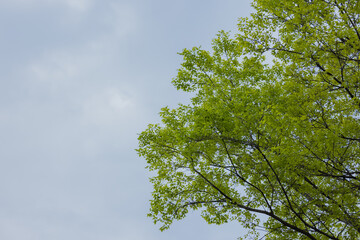 明るい空