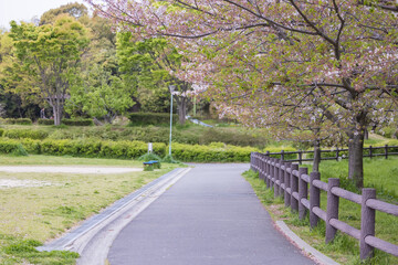 さくら並木道