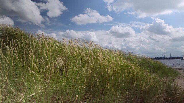 Walk along the Daugava river on the dunes in summer