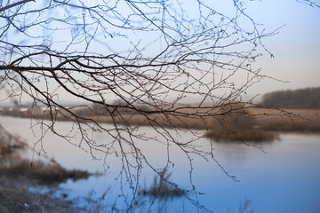 spring flood landscape in  March