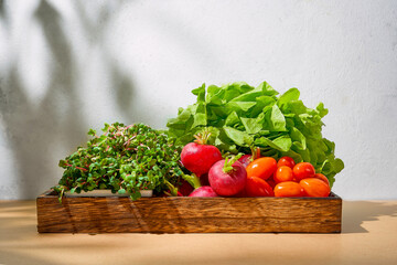 Colorful salad with green fresh vegetable and tomatoes decoration