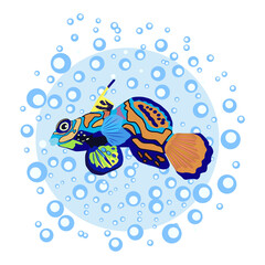 Mandarin fish beautiful character among water bubbles, scandinavian style, hand drawn