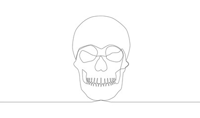 Continuous one line drawing. Abstract human skull.illustration