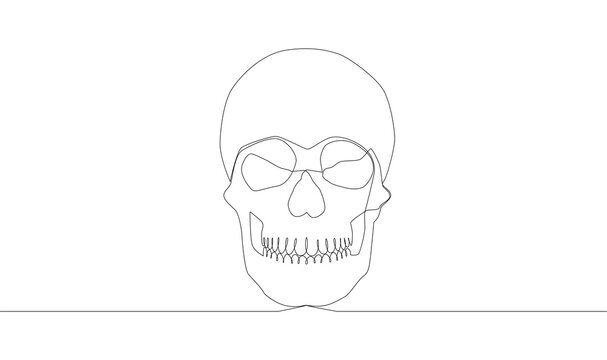 recommend clip art: Continuous one line drawing. Abstract human skull.illustration