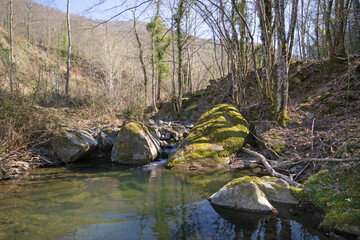 mountain stream in the forest on sunny day of  spring, in Tuscany land