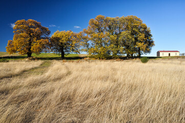 Landscape near the village of Longobucco, District of Cosenza, Calabria, the Sila National Park, Italy, Europe