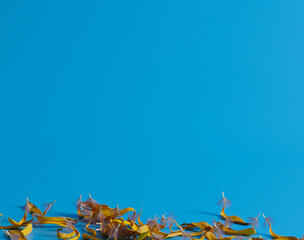 Fototapeta na wymiar yellow petals lie on a blue background