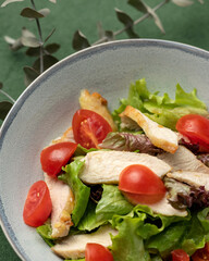 Close up of nutritious salad with chicken fillet or breast, lettuce and Fresh tomatoes. Holiday or festive vitamin dish with meat, vegetables and greens. Nicely served food plate on restaurant table.